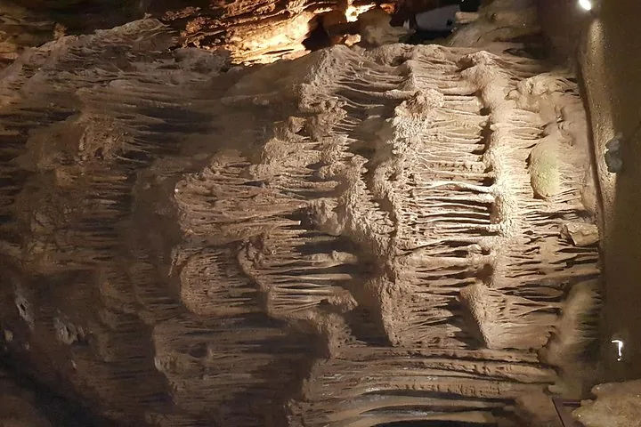 Large, intricate stalactite formations inside a dimly lit cave