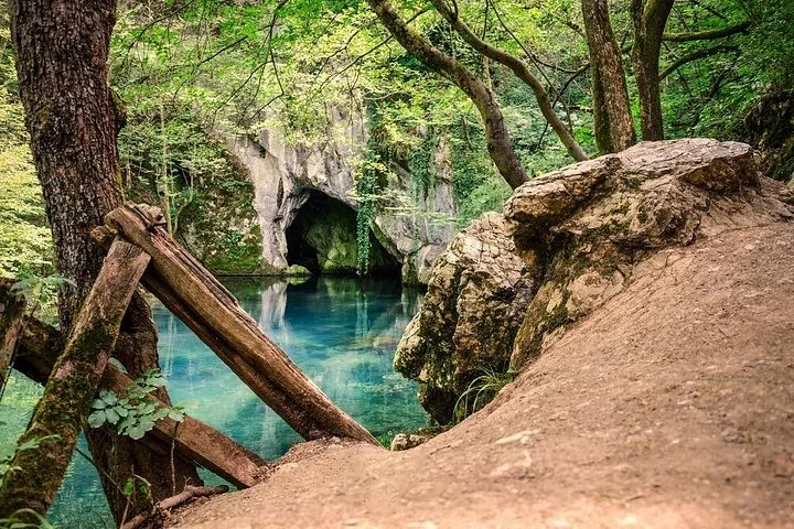 Lush forest setting with a dark cave entrance by a blue pool